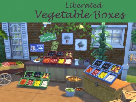 Liberated Vegetable Boxes at Leander Belgraves