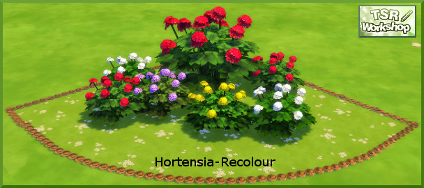 Sims 4 Hydrangea recolors by Christine1000 at Sims Marktplatz