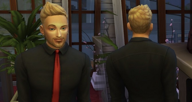 Sims 4 Swept Frosted hair for males at My Stuff