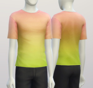 Sims 4 Basic t shirt 2 untucked (Males) at Rusty Nail