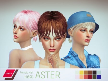 JAKEA H001 Female Hair ASTER by JK-Sims at TSR