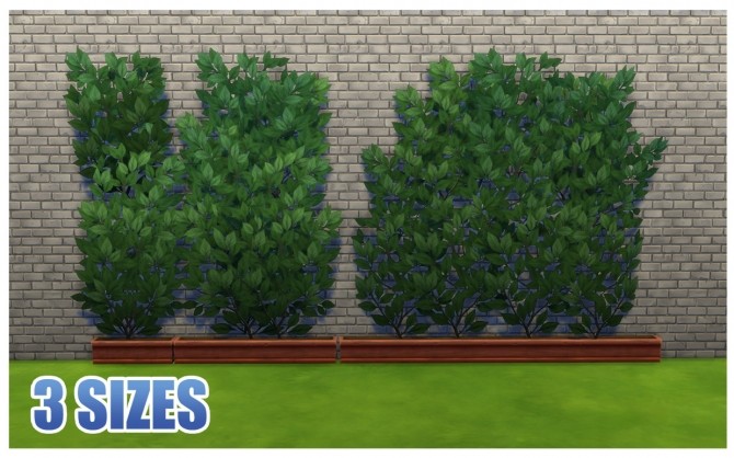 Sims 4 Unlocked and Recoloured Climbing Ivy Planters by Menaceman44 at Mod The Sims