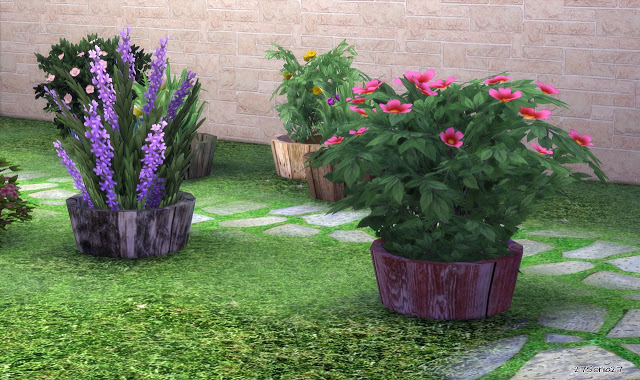Sims 4 Garden Wooden Pot at 27Sonia27