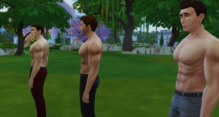 Bigger Chest/Ab Muscles for males by linkster123 at Mod The Sims