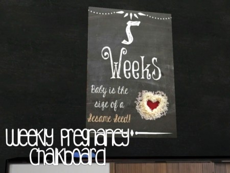 Weekly pregnancy chalkboards at Akai Sims