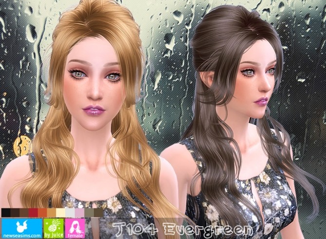 J104 Evergreen hair (Pay) at Newsea Sims 4 » Sims 4 Updates