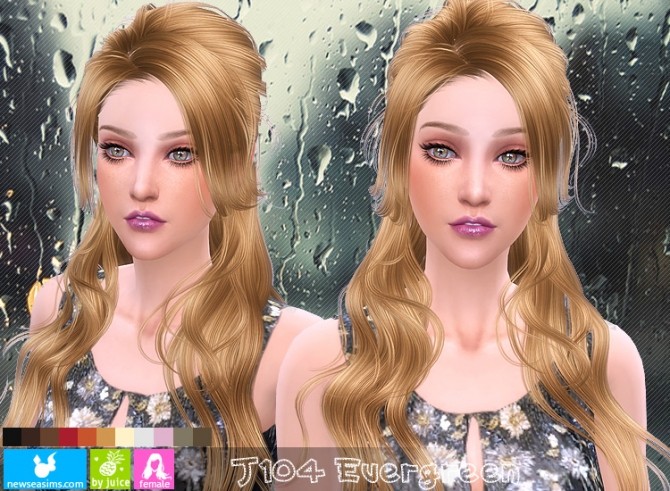 Sims 4 J104 Evergreen hair (Pay) at Newsea Sims 4