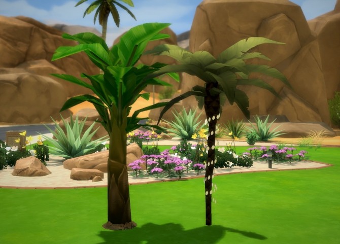 Sims 4 Little palm with lights + the banana tree deco at Budgie2budgie