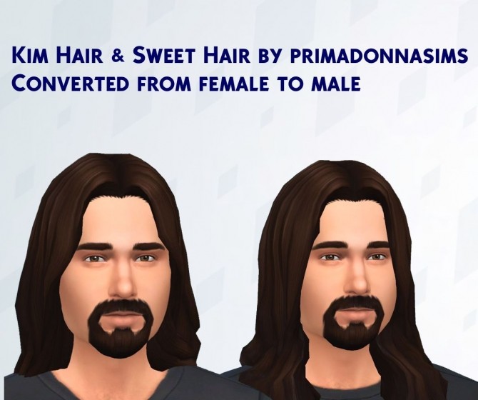 Sims 4 Gender Conversion of PrimadonnaSims hair by Paola2 at Mod The Sims
