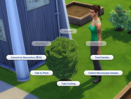 Bonsai Convert to Decorative fix by DarkWalker at Mod The Sims