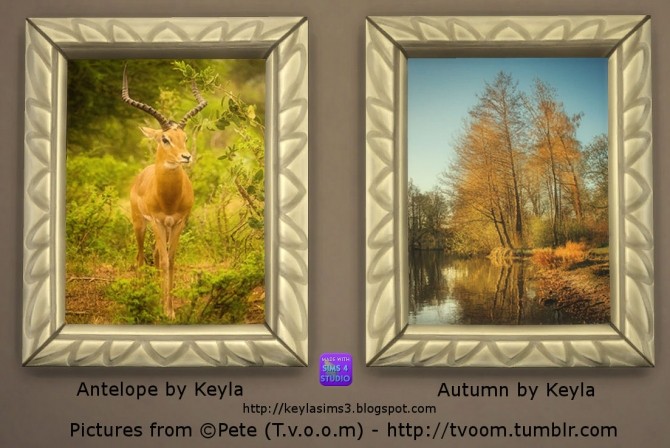 Sims 4 Nature paintings by Keyla at Keyla Sims