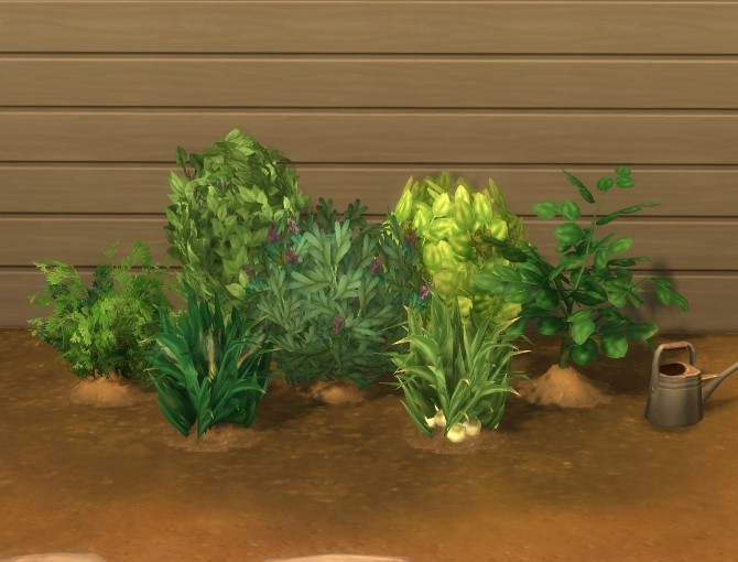 Sims 4 Garden Variety by plasticbox at Mod The Sims