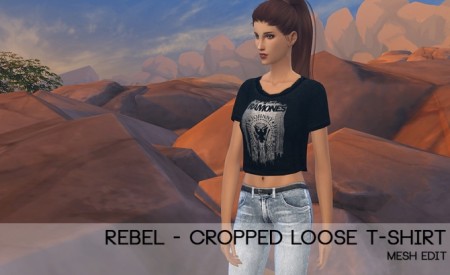 Rebel cropped tee at Porcelain Warehouse