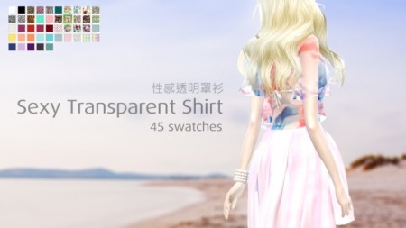 Transparent Shirt at Paulean R