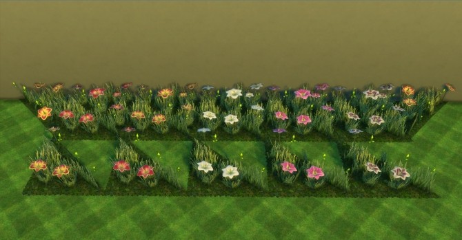 Sims 4 Daisies and Company by AdonisPluto at Mod The Sims
