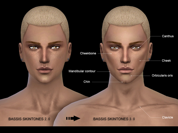 Sims 4 BS3.0 FM skin by S Club WMLL at TSR