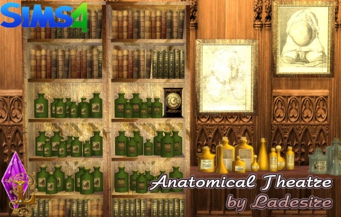Sims 4 Anatomical Theatre at Ladesire