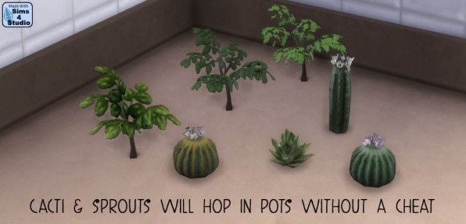 Sims 4 Succulent garden in repurposed pots by OM at Sims 4 Studio