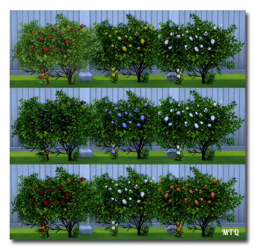 Sims 4 TS2 To TS4 Outdoor Plants at Msteaqueen