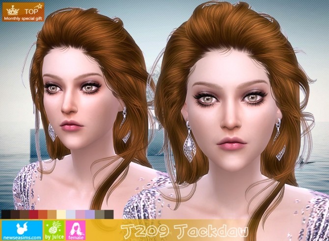 Sims 4 J209 Jackdaw hair (Pay) at Newsea Sims 4