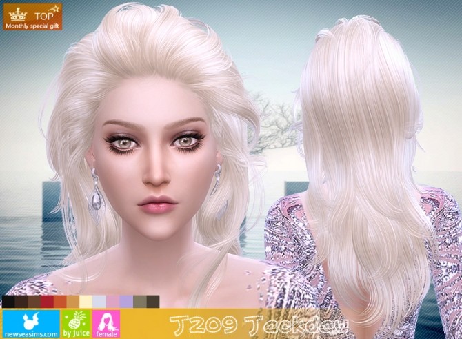 Sims 4 J209 Jackdaw hair (Pay) at Newsea Sims 4