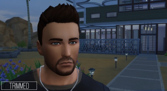 Sims 4 Commander Facial Hair by Xalder at Mod The Sims