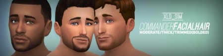 Commander Facial Hair by Xalder at Mod The Sims