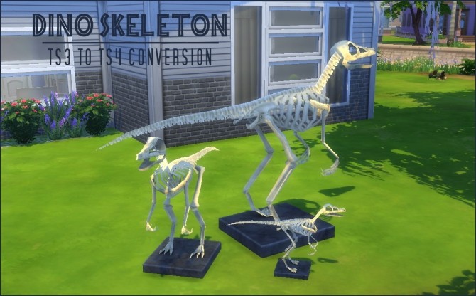 Sims 4 TS3 to TS4 conversion of the dino skeleton from Pets at Jorgha Haq