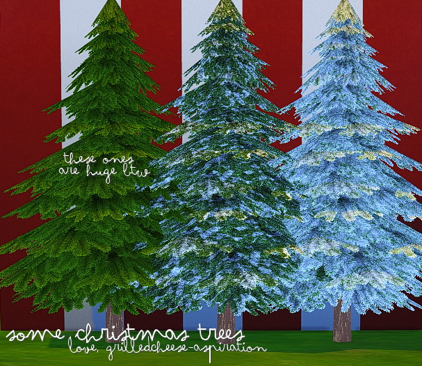 Sims 4 Christmas Trees at Grilled Cheese Aspiration