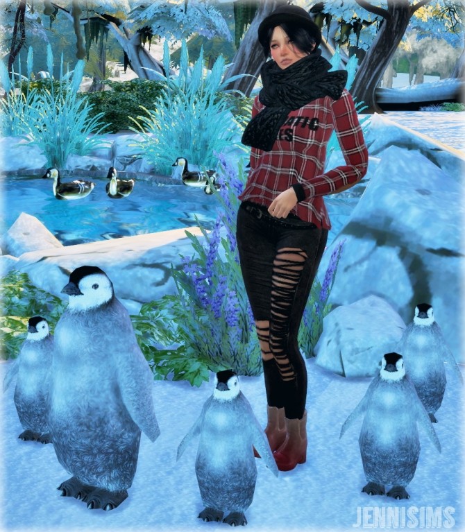 Sims 4 Penguin Decorative at Jenni Sims