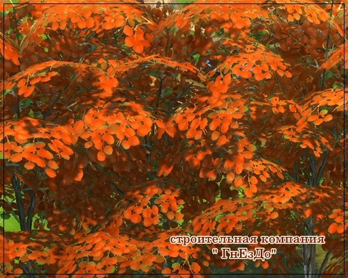 Sims 4 Trees with autumn leaves at Sims by Mulena