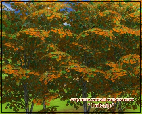 Sims 4 Trees with autumn leaves at Sims by Mulena