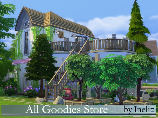 Sims 4 All Goodies Store by Ineliz at TSR