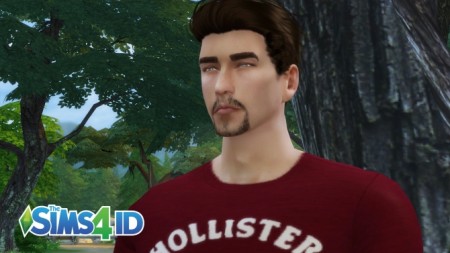 Goatee beard (Soft) at The Sims 4 ID