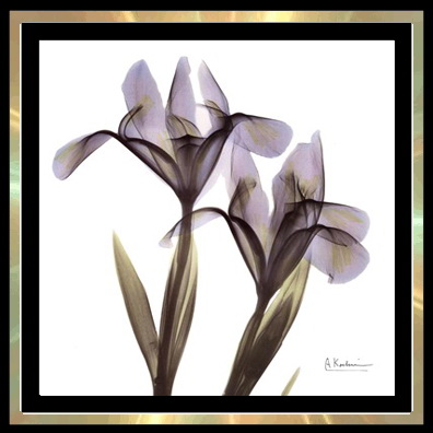 Sims 4 xray flower paintings at Trudie55