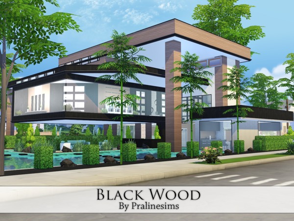 Sims 4 Black Wood house by Pralinesims at TSR