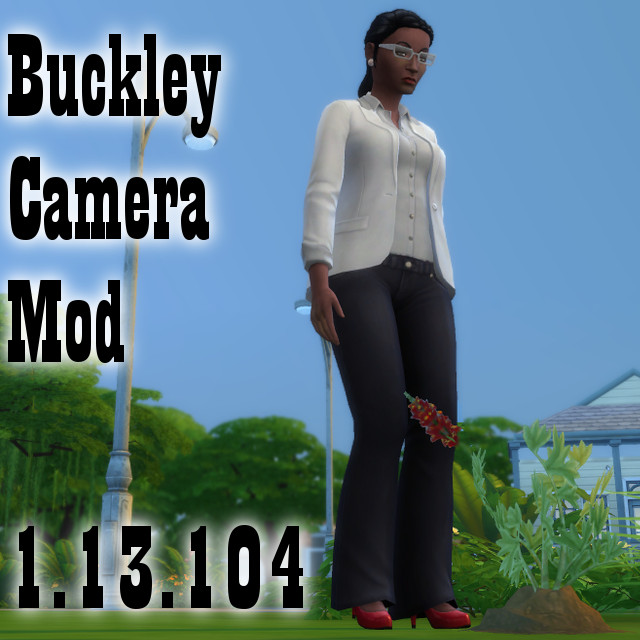 Sims 4 Buckley camera mod updated for 1.13.104 by szielins at Mod The Sims