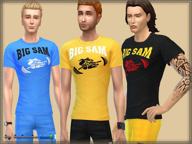 Sims 4 Set Big Sam at Bukovka