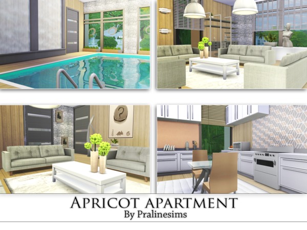 Sims 4 Apricot Apartment by Pralinesims at TSR