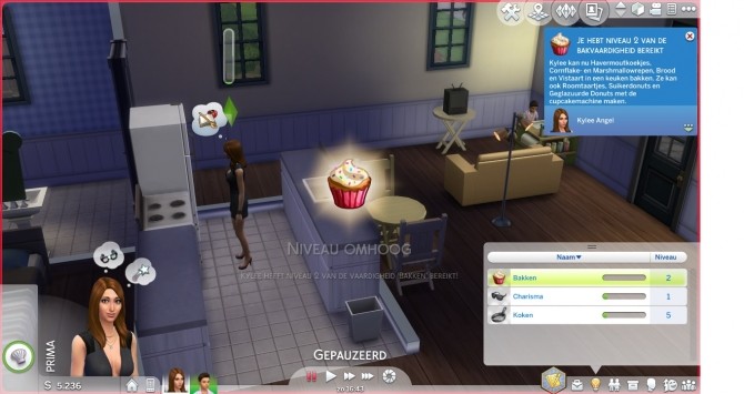 Sims 4 No More SCreen Slam When Developing a Skill by maloekoegirl at Mod The Sims