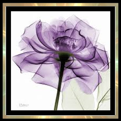 Sims 4 xray flower paintings at Trudie55