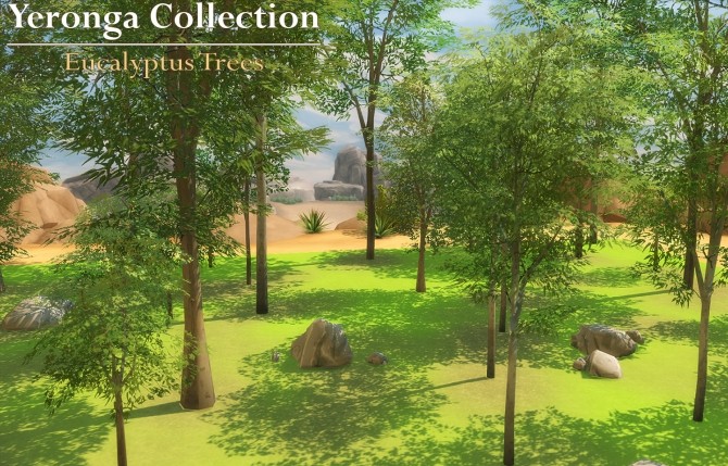 Sims 4 Eucalyptus Trees (Yeronga Collection) by Beefysim1 at Mod The Sims