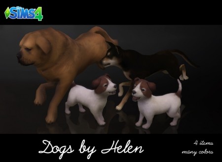 Dogs (4 items) at Helen Sims