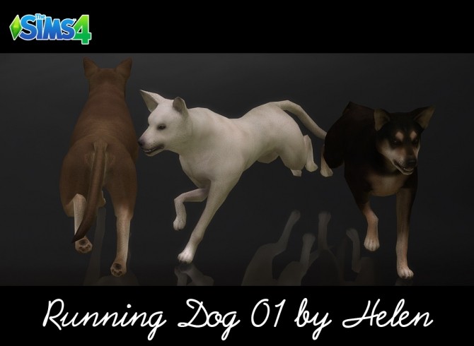 Sims 4 Dogs (4 items) at Helen Sims