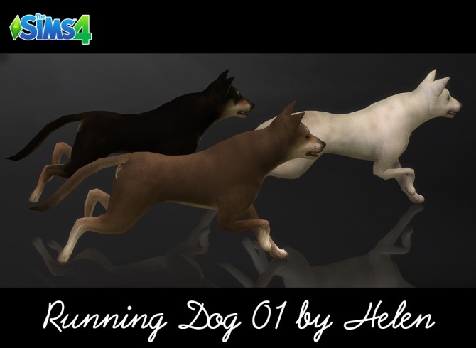 Sims 4 Dogs (4 items) at Helen Sims
