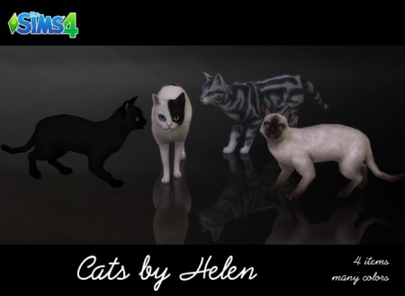 Cats (4 items) at Helen Sims