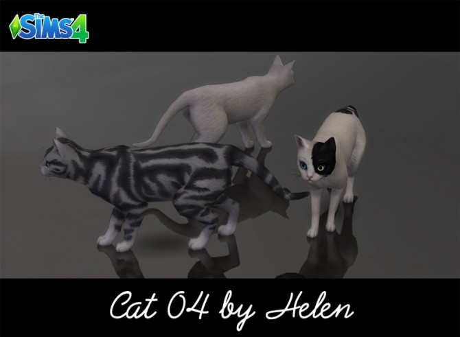 Sims 4 Cats (4 items) at Helen Sims