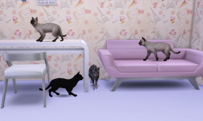Sims 4 Cats (4 items) at Helen Sims
