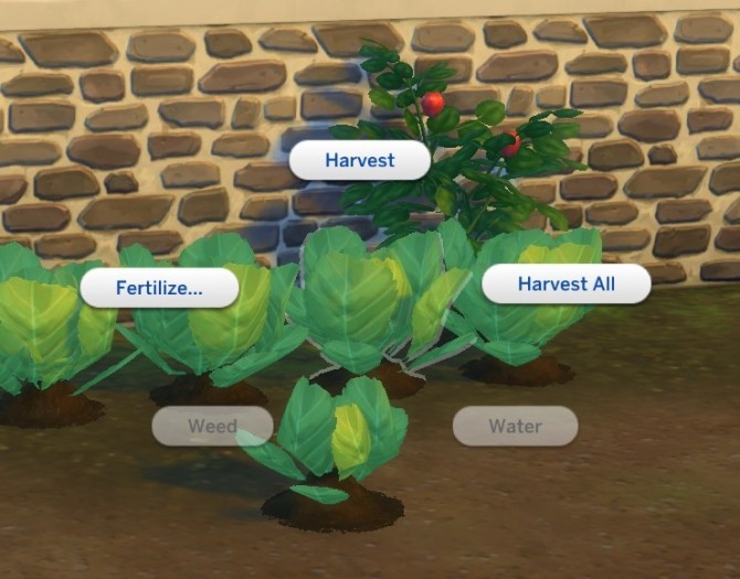 Sims 4 Harvestable Lettuce by plasticbox at Mod The Sims