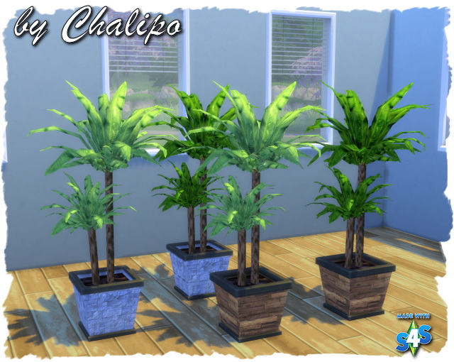 Sims 4 Potted palm by Chalipo at All 4 Sims